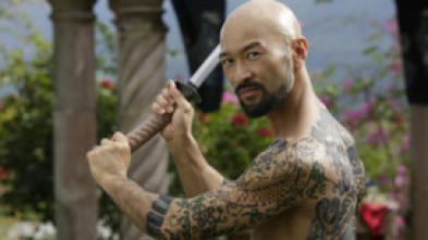 Imagen de El regreso de Falcon - 5