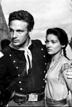 Imagen de Pintura de guerra - 4