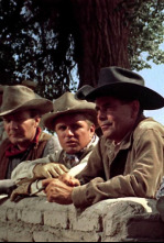 Imagen de Cowboy - 4