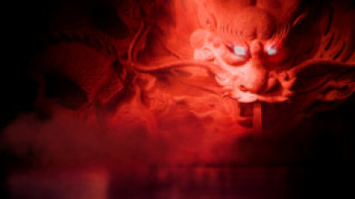 Imagen de El magnate de la droga - 8