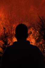 Imagen de Testigos de la tragedia  - 13