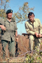 Imagen de Boinas verdes - 4