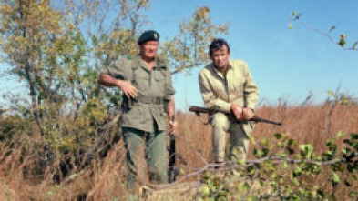 Imagen de Boinas verdes - 5