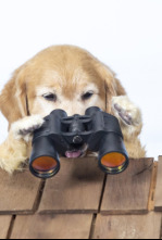 Imagen de Como perros y gatos: La patrulla unida - 4