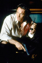 Imagen de Rompedor Jack - 4