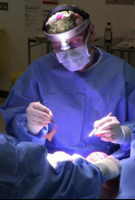 Imagen de Desastres estéticos (T5) - 4