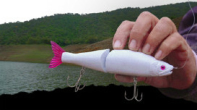 Imagen de Sombras bajo los señuelos - 5