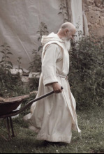 Imagen de Libres - 4