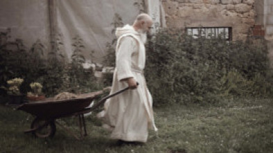 Imagen de Libres - 5