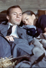 Imagen de Anna Kauffmann - 4