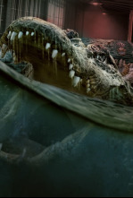 Imagen de The Flood - 4