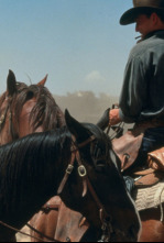 Imagen de Hi-Lo Country - 4