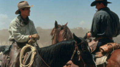 Imagen de Hi-Lo Country - 5