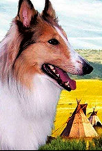 Imagen de Las colinas pintadas - 4