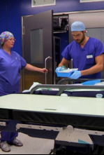 Imagen de Desastres estéticos (T4) - 4