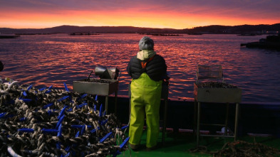 Imagen de El escarabajo verde: Mujeres de tierra y sal - 3