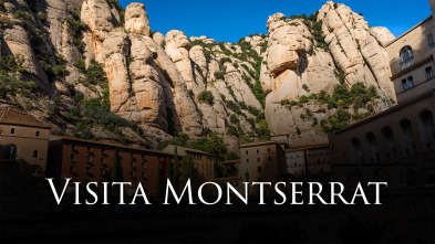 Imagen de Visita Papa a España (T1): Visita Montserrat - 5