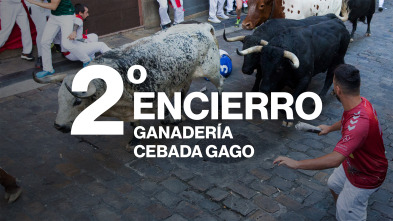 Imagen de Vive San Fermín (T2026): Ep.3 - 5