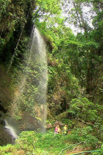 Imagen de El escarabajo verde: Sombra aquí, sombra allá - 2