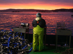 Imagen de El escarabajo verde: Chernóbil - 1