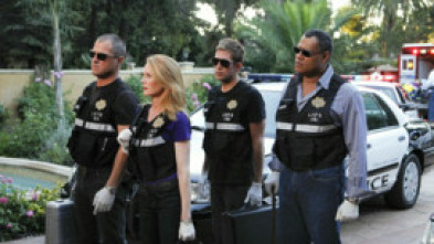 Imagen de C.S.I.: Las Vegas (T11): Ep.16 Conecta, sintoniza, cáete muerto - 5