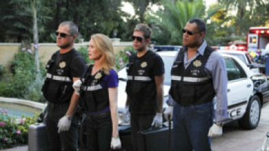 Imagen de C.S.I.: Las Vegas (T11): Ep.21 Chelo y adiós - 5