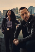 Imagen de Boston Blue (T1): Ep.8 En nombre del Padre, del Hijo... - 6