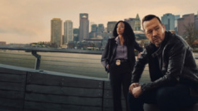 Imagen de Boston Blue (T1): Ep.5 Los niños padecen - 7