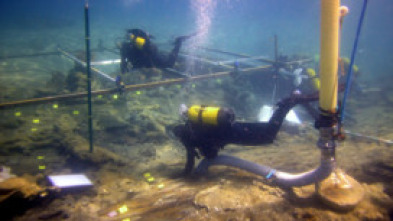 Imagen de El triunfante - 5