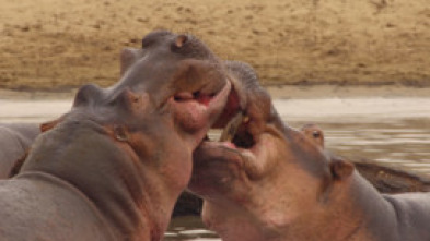 Imagen de Cuentos de Zambia  - 5