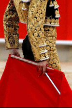 Imagen de Toros desde fregenal de la sierra - 4