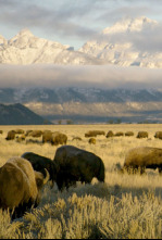 Imagen de Parques Nacionales de América - 4