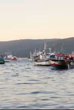 Imagen de Ecce perdomo - 4