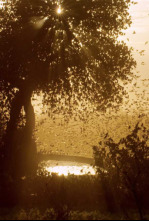 Imagen de Hi havia una vegada...: Supervivència - 4