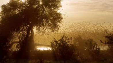 Imagen de Hi havia una vegada...: Supervivència - 5