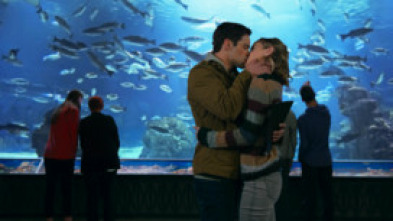 Imagen de Amor Sin Tiempo - 4