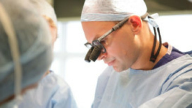 Imagen de Desastres estéticos (T2): Ep.1 - 5