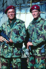 Imagen de Patos salvajes - 4