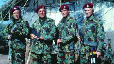 Imagen de Patos salvajes - 5