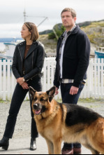 Imagen de Hudson y Rex (T5): Ep.8 Entierra la pista - 5