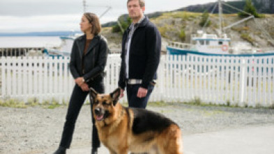 Imagen de Hudson y Rex (T5): Ep.8 Entierra la pista - 6