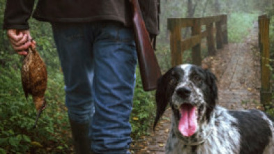 Imagen de Setters los guardianes del báltico Ep.2 - 5