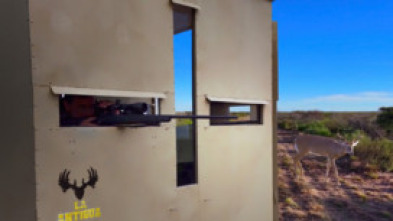 Imagen de México con Jesús Riquelme Ep. 1 Cacerías de otro continente - 5