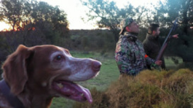 Imagen de Dehesa el Campillo, una temporada atípica - 5