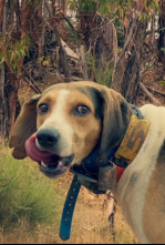 Imagen de Montería la ribera 