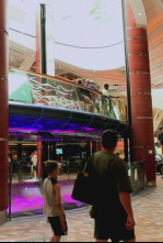 Imagen de Desaparecidos: Perdido en la niebla - 4