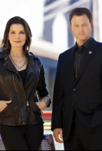 Imagen de C.S.I. Nueva York (T7) - 4