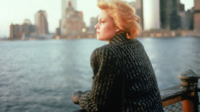 Imagen de Armas de mujer - 5