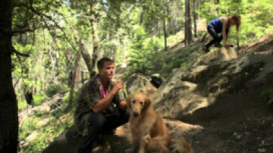 Imagen de Army Dog - 5