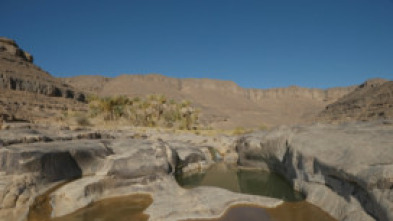 Imagen de El Sàhara verd: Episodi 2 - 5